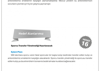 Sporcu Transfer Yönetmeliği Hazırlanacak