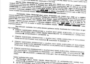 4. Mali Genel Kurulun İptali İçin Dava Dilekçesi